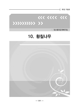 황칠나무(임산물표준재배지침) 이미지